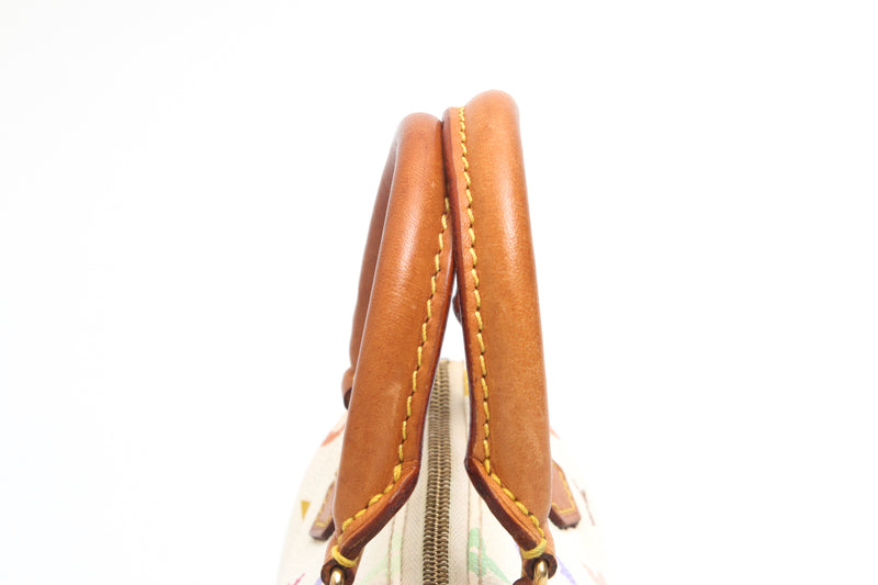 Louis Vuitton Multicolour Nano Speedy