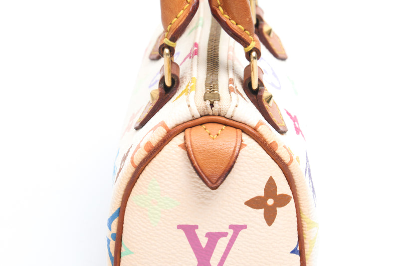 Louis Vuitton Multicolour Nano Speedy