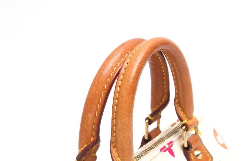 Louis Vuitton Multicolour Nano Speedy