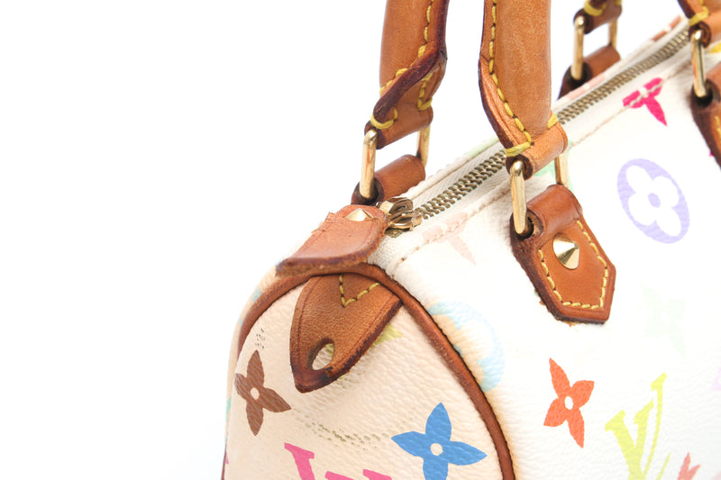 Louis Vuitton Multicolour Nano Speedy