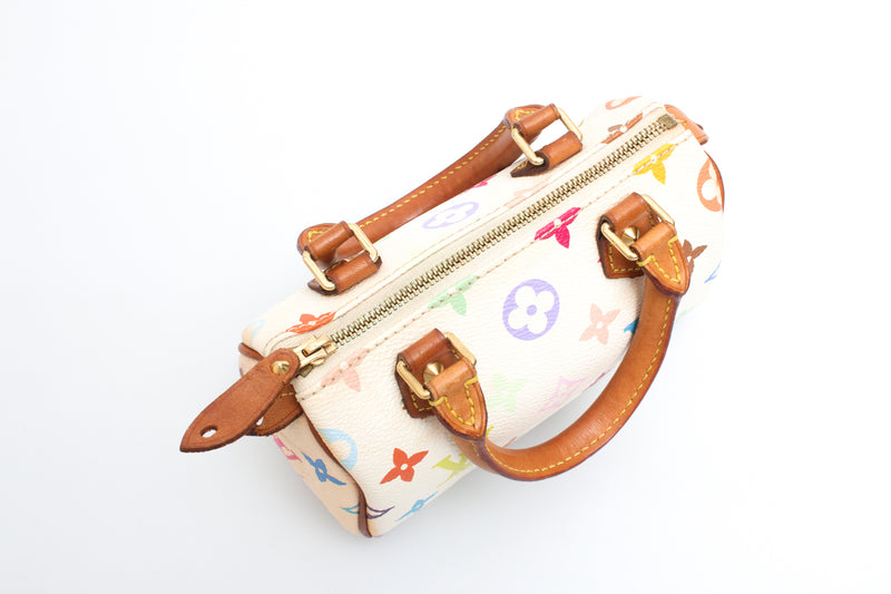 Louis Vuitton Multicolour Nano Speedy