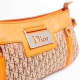 Dior Monogram Bag