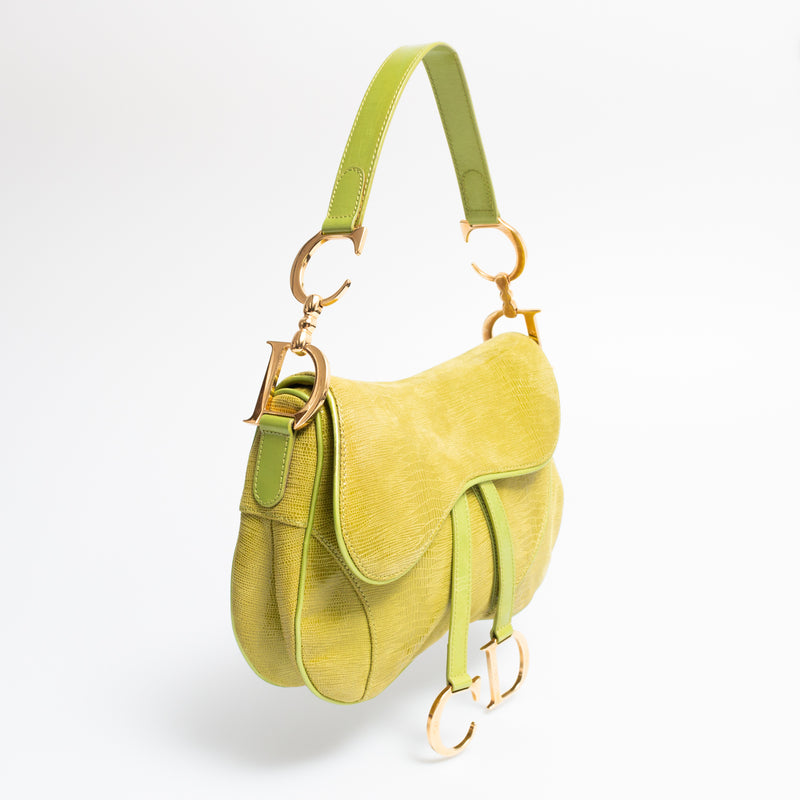 Dior Lizard Double Saddle Bag