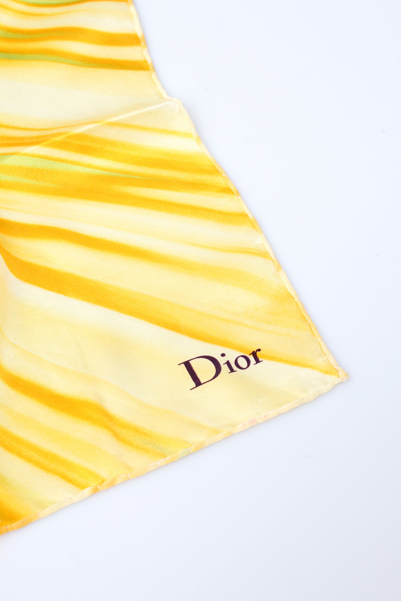 Dior Scarf