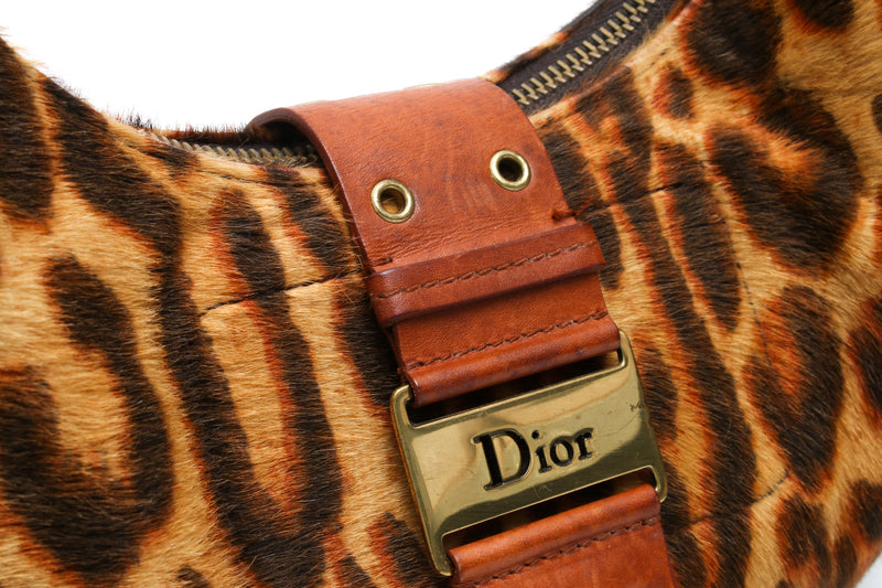 Dior Hobo Leopard Bag