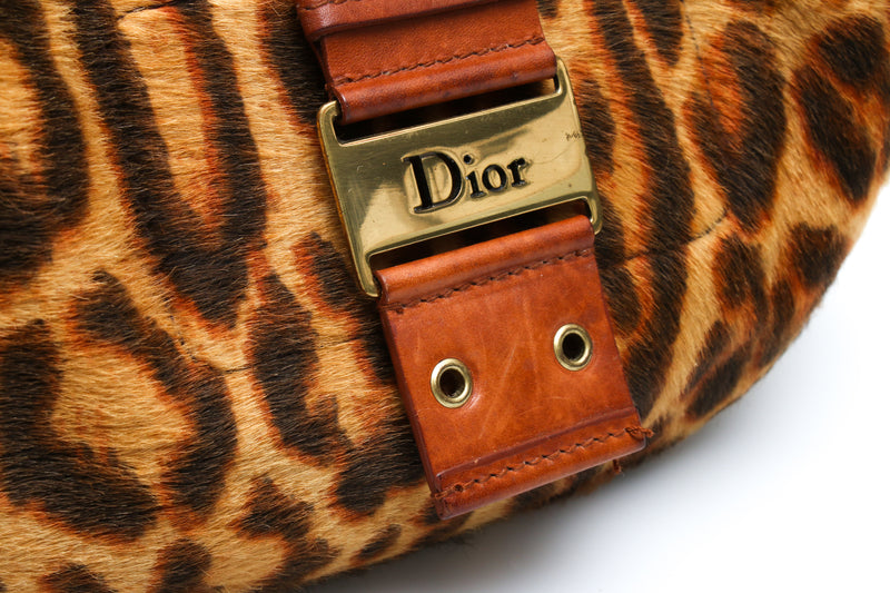 Dior Hobo Leopard Bag