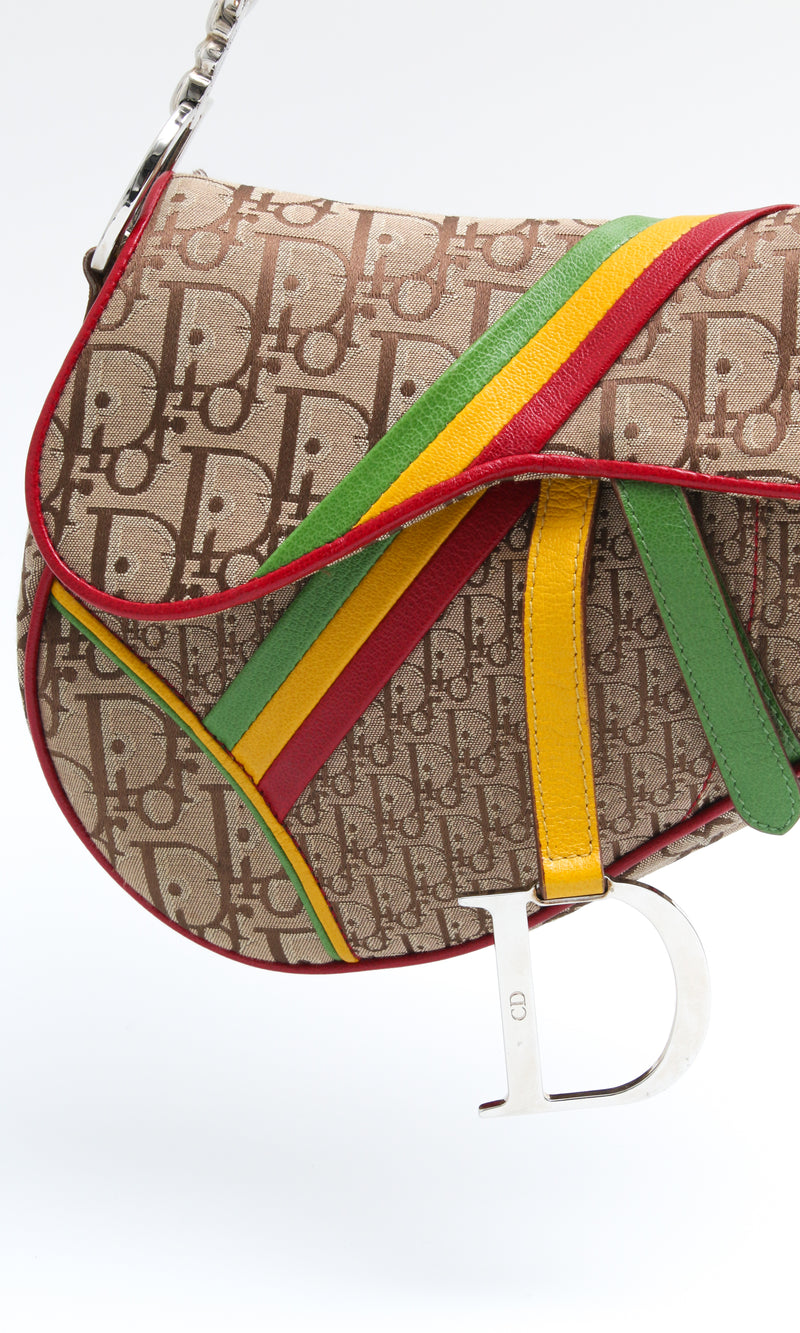 Dior Rasta Saddle Bag