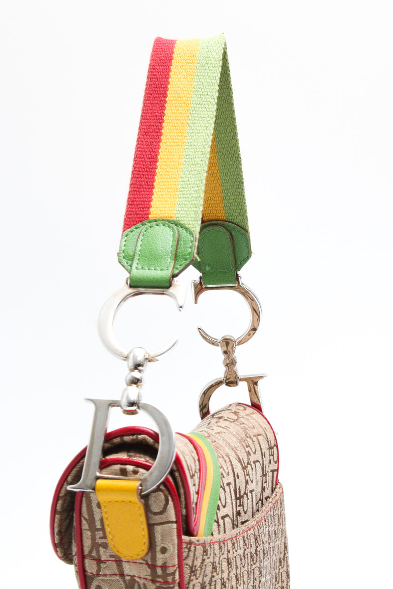 Dior Rasta Saddle Bag