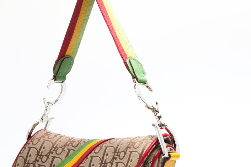 Dior Rasta Saddle Bag
