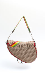 Dior Rasta Saddle Bag