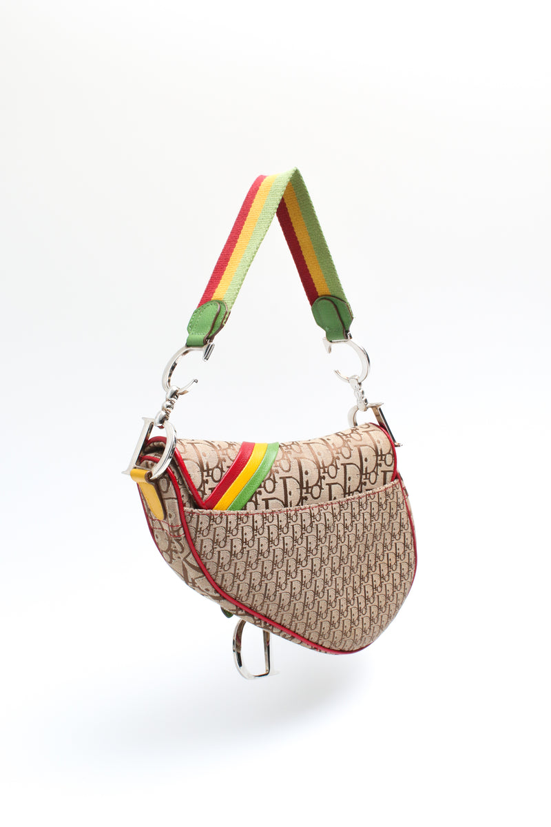 Dior Rasta Saddle Bag