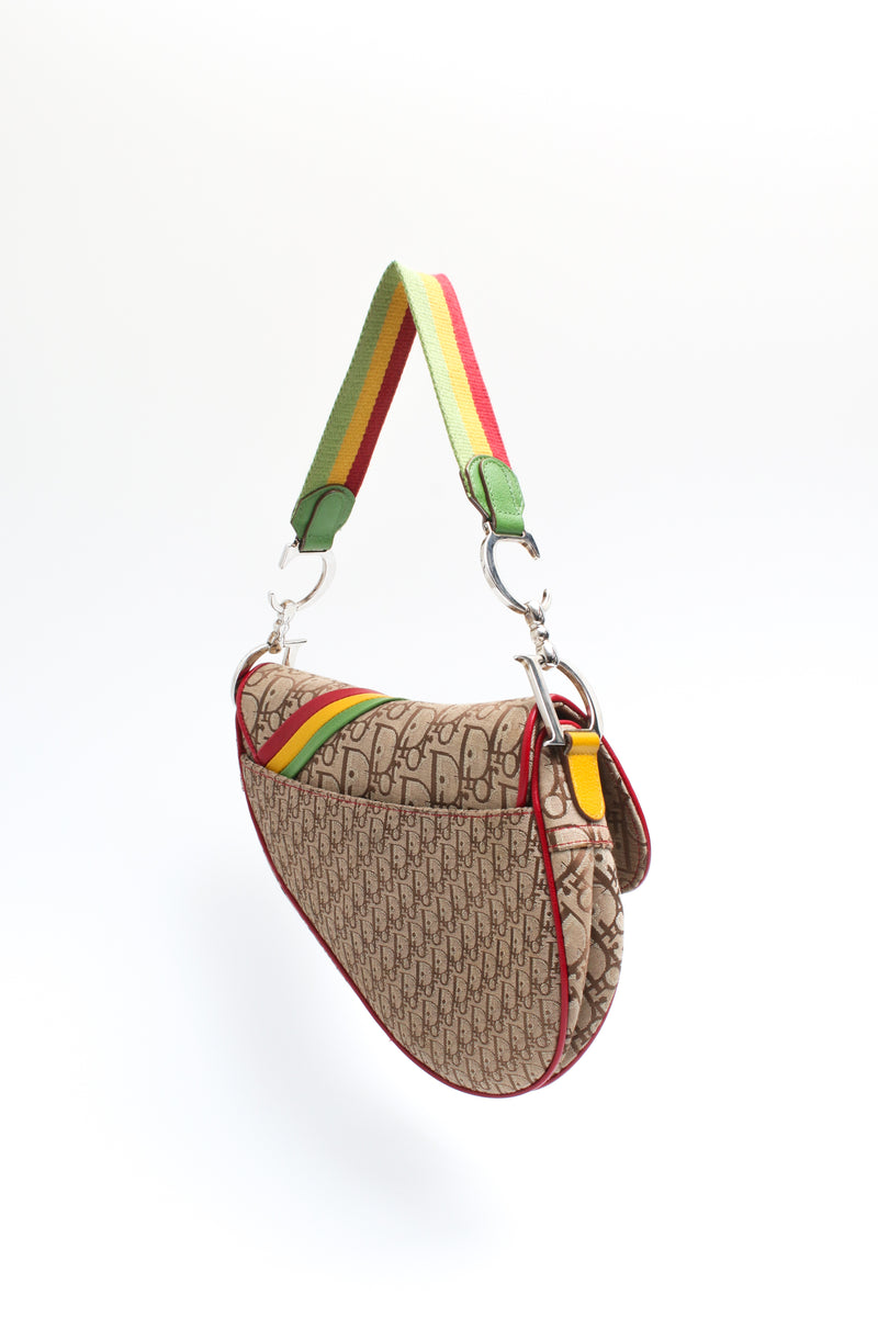 Dior Rasta Saddle Bag