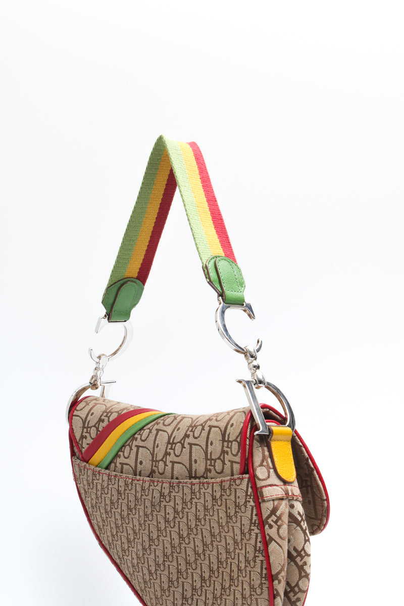 Dior Rasta Saddle Bag
