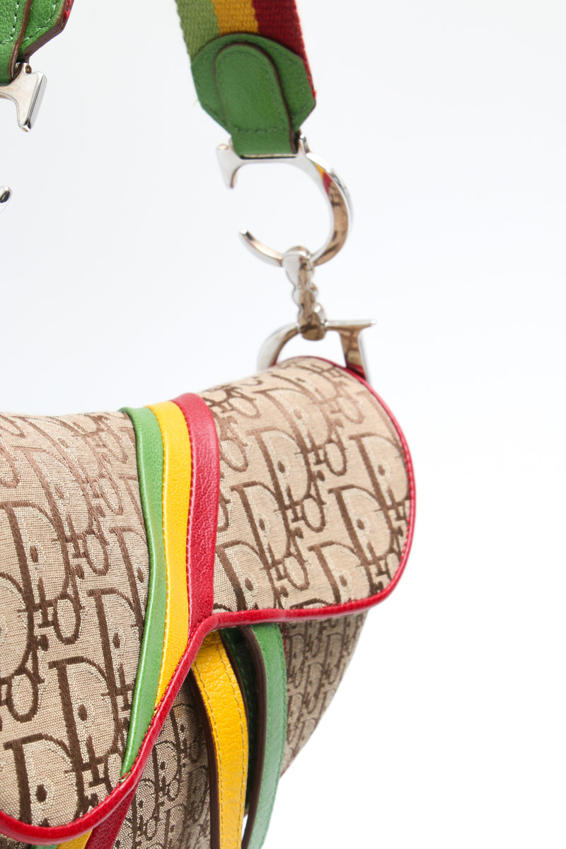 Dior Rasta Saddle Bag