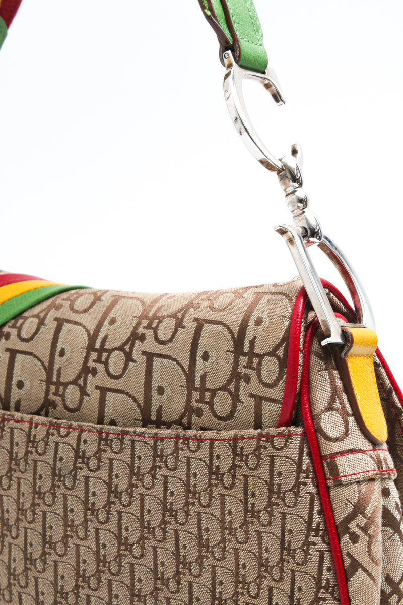 Dior Rasta Saddle Bag