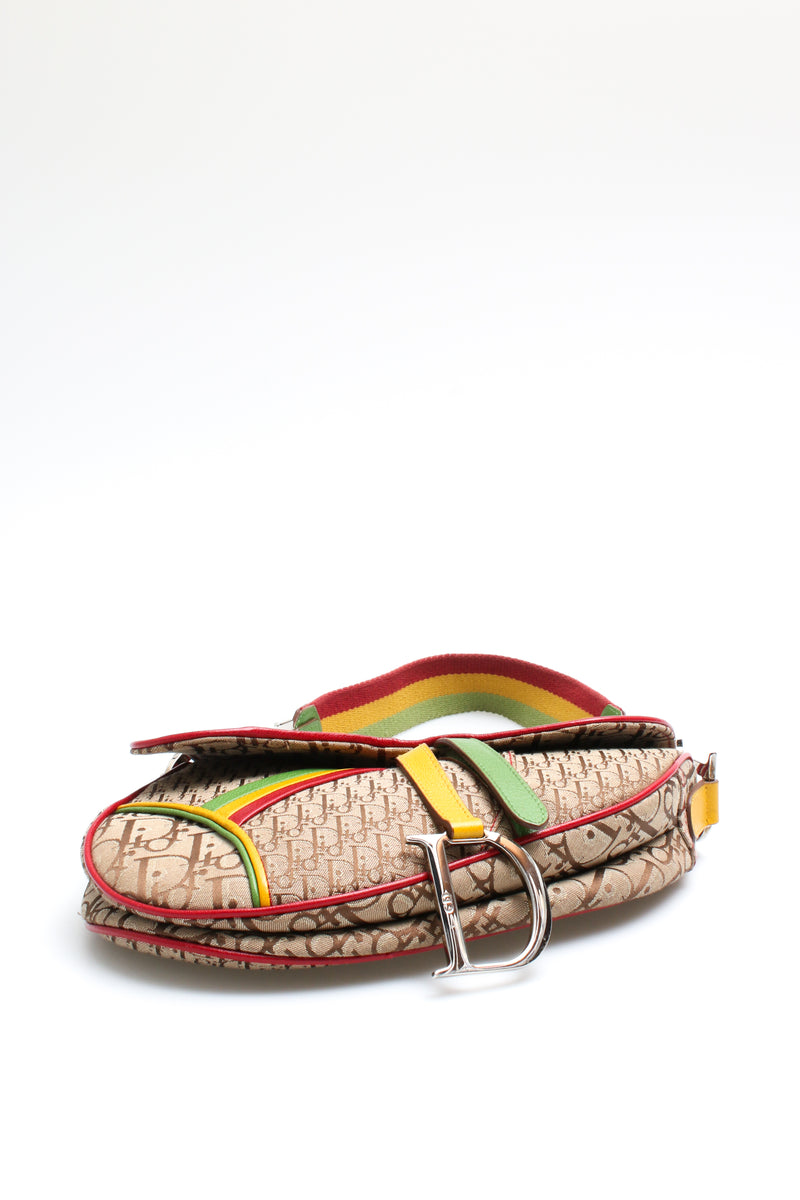 Dior Rasta Saddle Bag