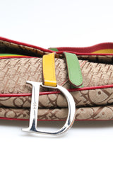 Dior Rasta Saddle Bag