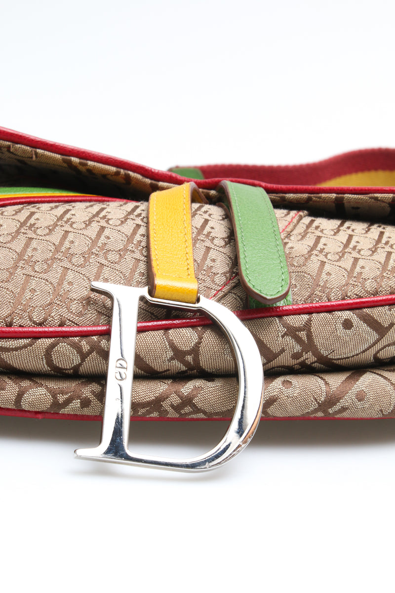 Dior Rasta Saddle Bag