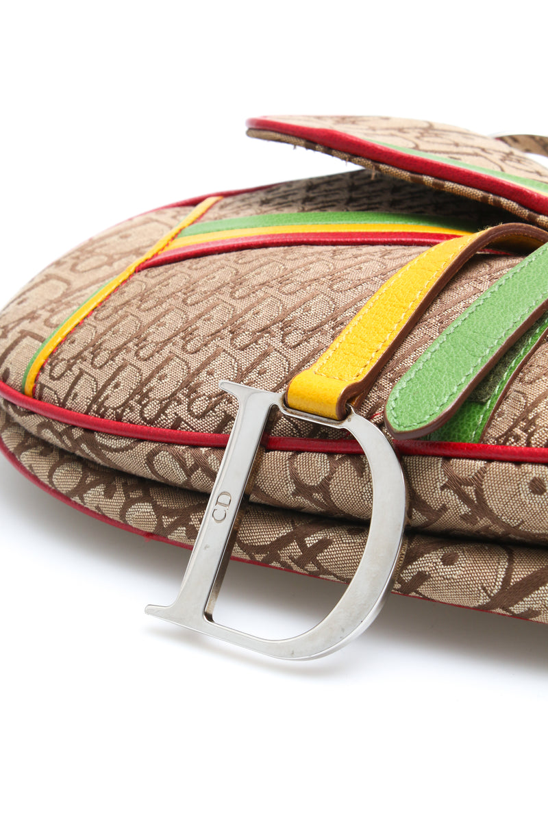 Dior Rasta Saddle Bag