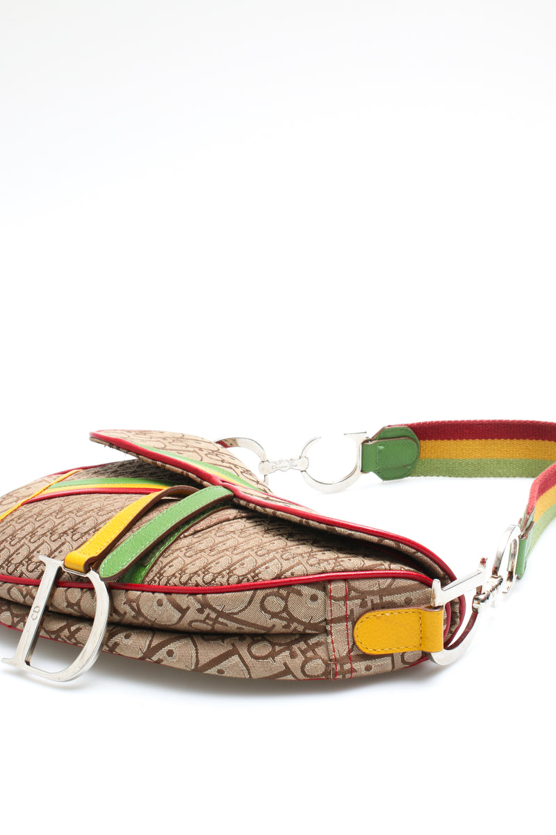 Dior Rasta Saddle Bag