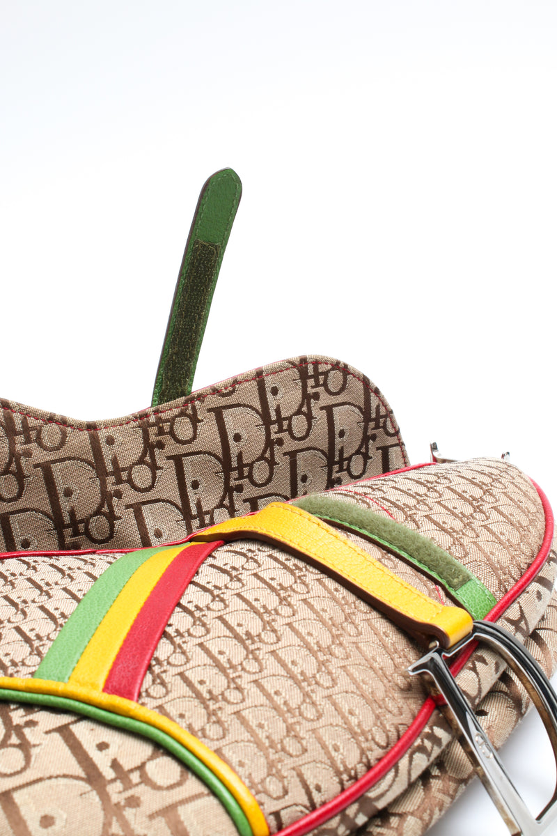 Dior Rasta Saddle Bag