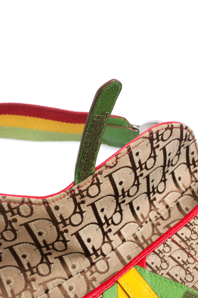 Dior Rasta Saddle Bag