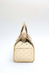 Louis Vuitton Speedy 30 Bag