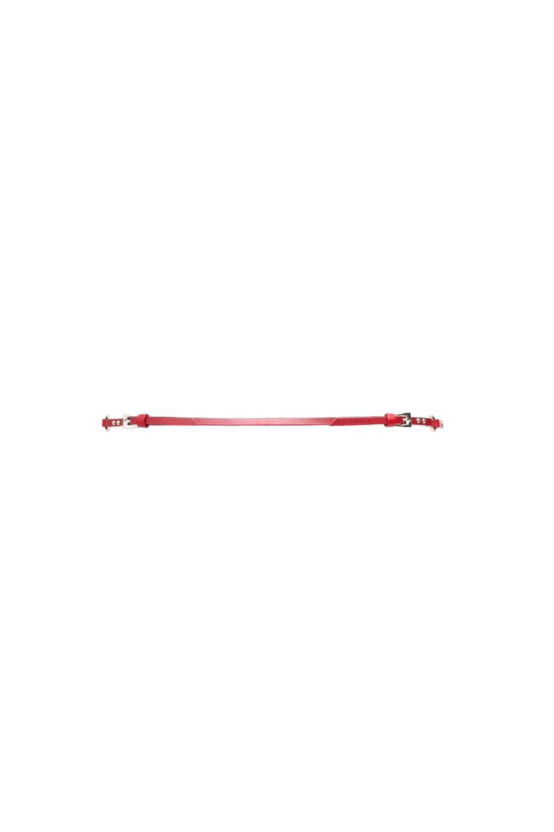 Dior Bondage Belt Bag
