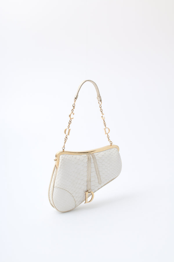 Dior Mini Saddle Bag