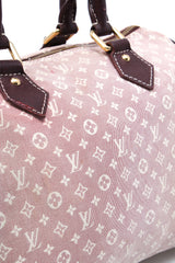 Louis Vuitton Mini Lin Speedy