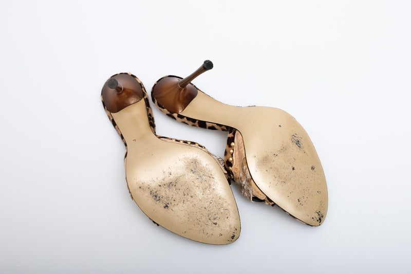 El Dante's Heels