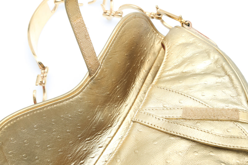 Dior Ostrich Mini Saddle Bag
