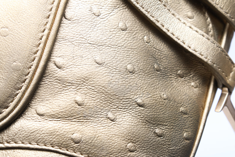 Dior Ostrich Mini Saddle Bag