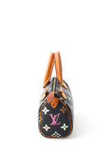 Louis Vuitton Multicolour Nano Speedy