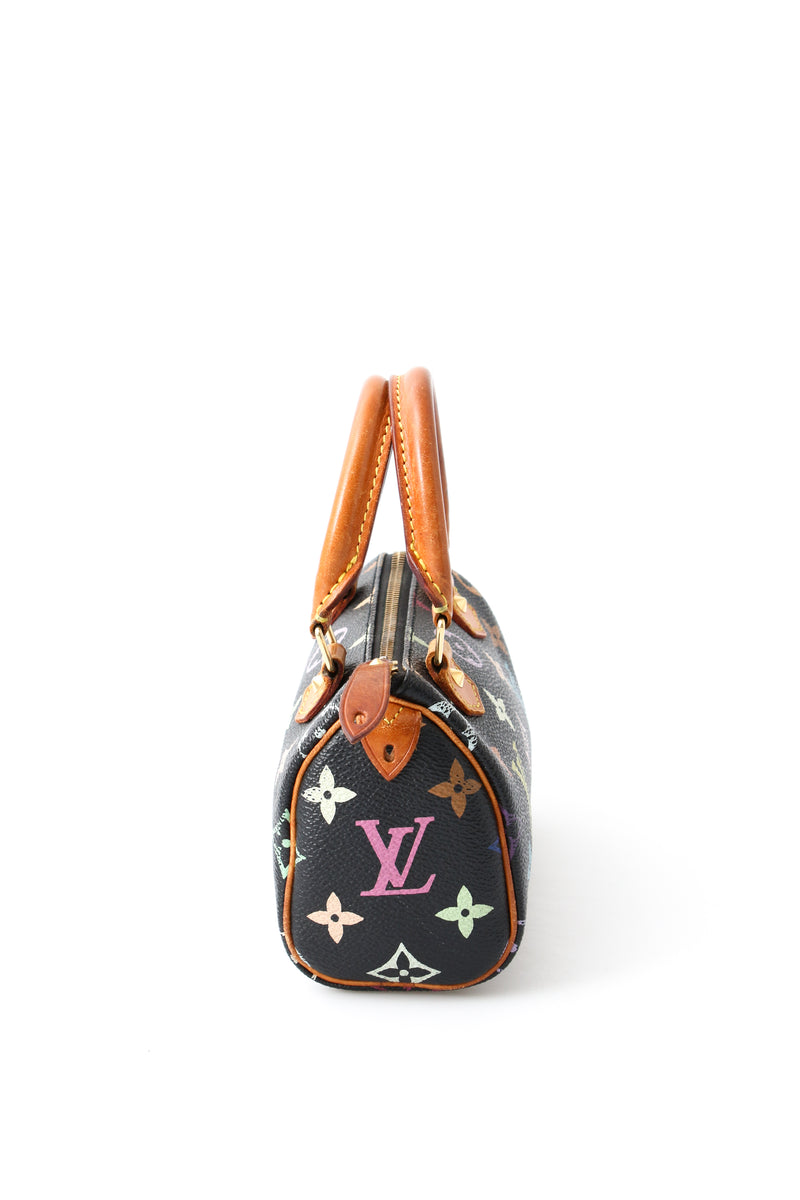 Louis Vuitton Multicolour Nano Speedy