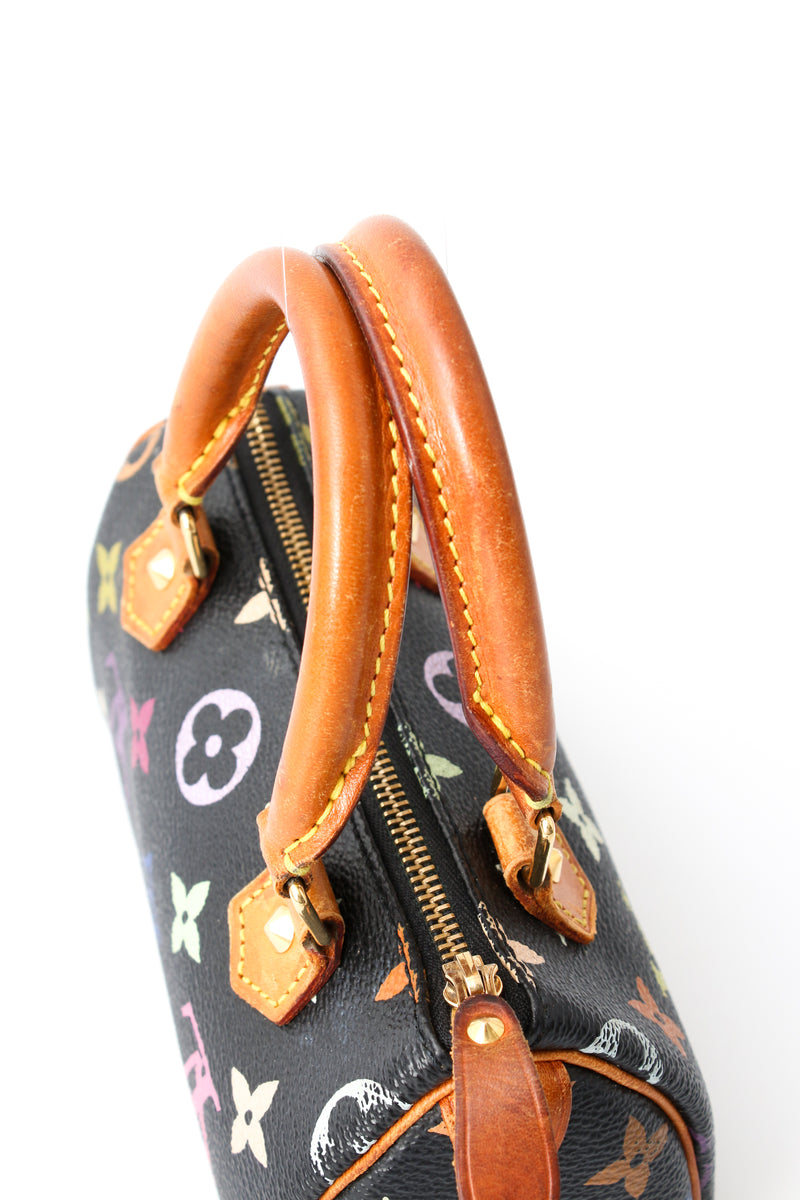 Louis Vuitton Multicolour Nano Speedy