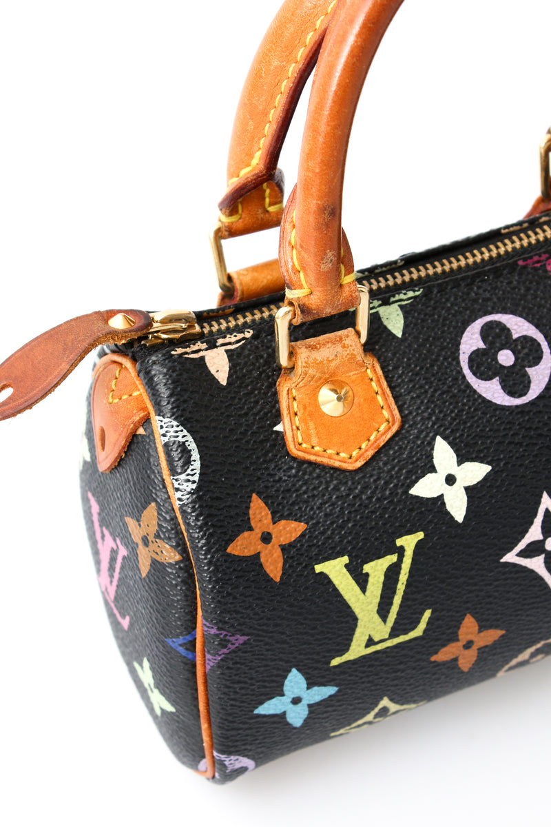 Louis Vuitton Multicolour Nano Speedy