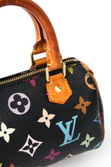 Louis Vuitton Multicolour Nano Speedy
