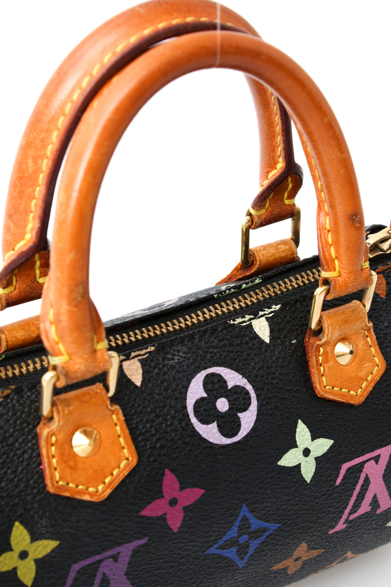 Louis Vuitton Multicolour Nano Speedy