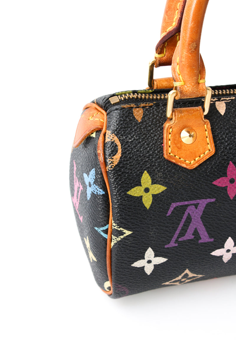 Louis Vuitton Multicolour Nano Speedy
