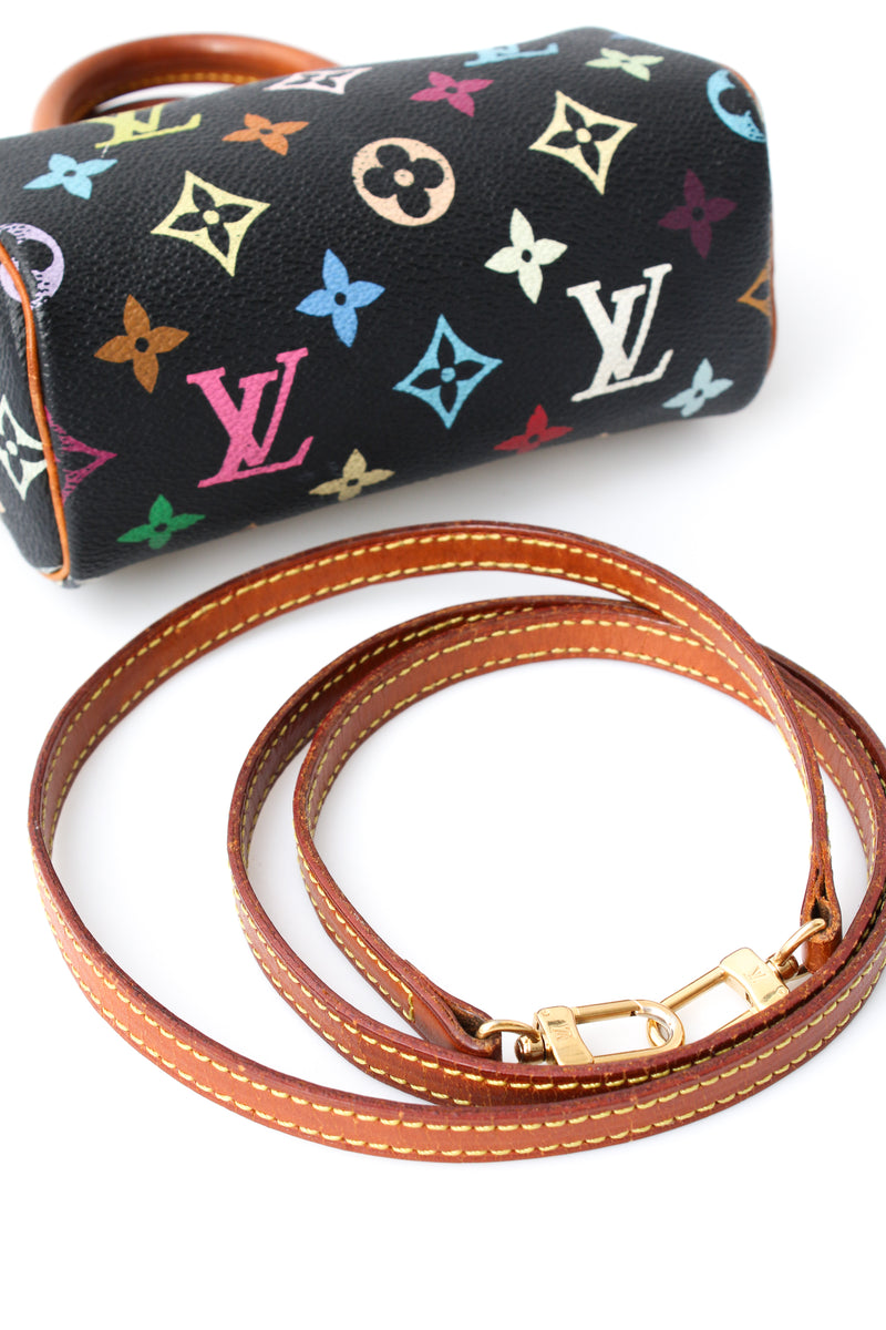 Louis Vuitton Multicolour Nano Speedy