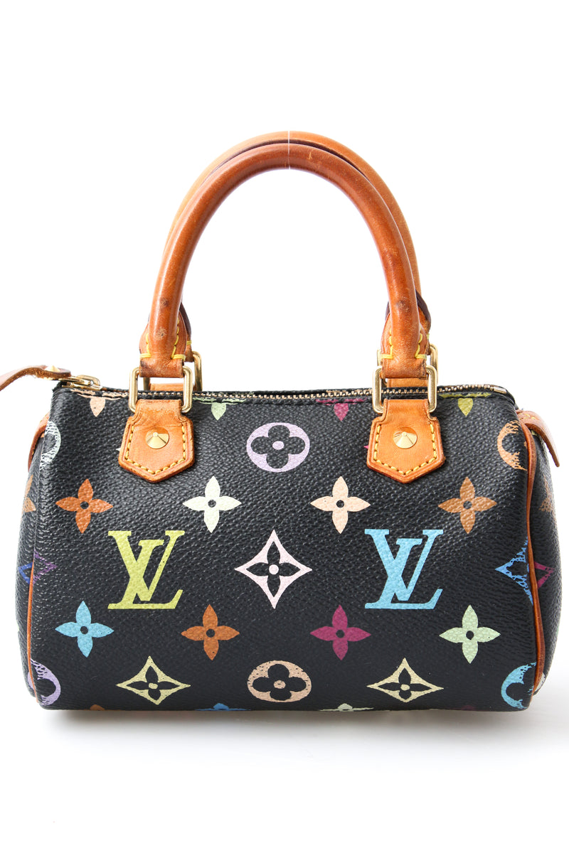 Louis Vuitton Multicolour Nano Speedy