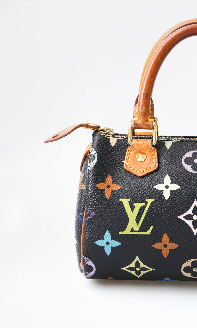 Louis Vuitton Multicolour Nano Speedy