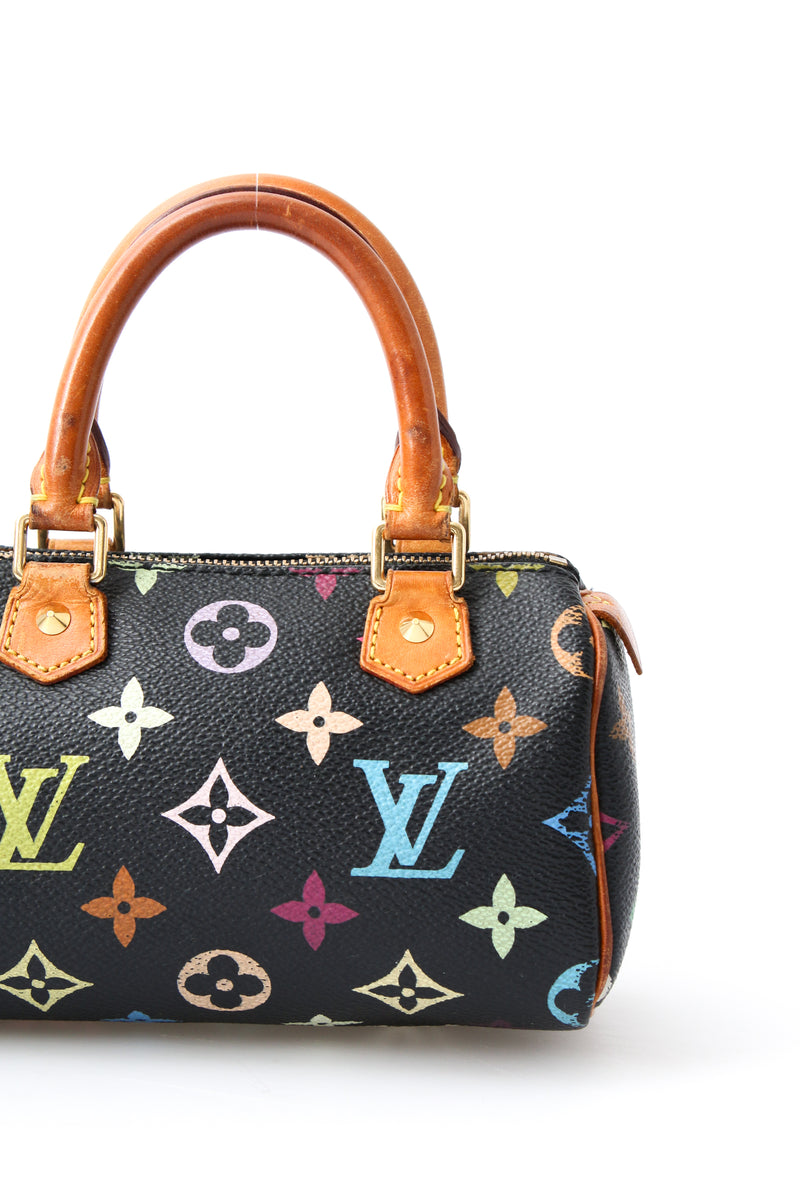 Louis Vuitton Multicolour Nano Speedy