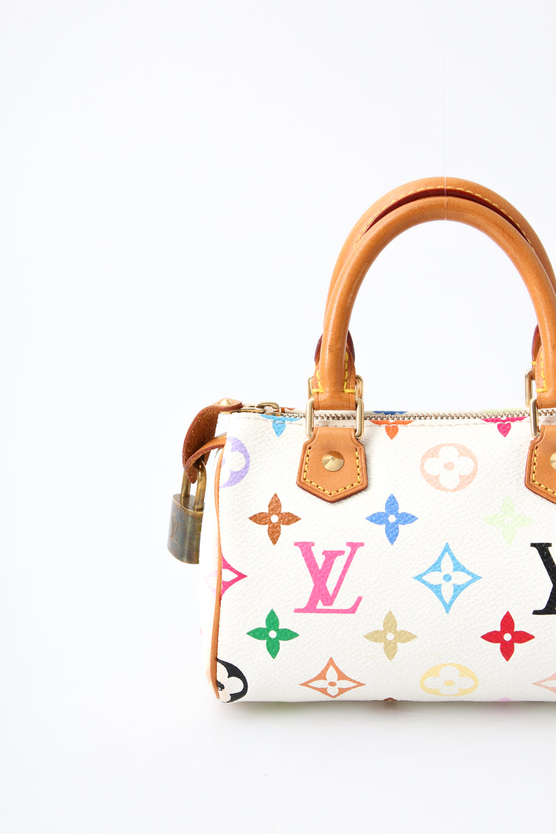 Louis Vuitton Multicolour Nano Speedy