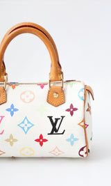 Louis Vuitton Multicolour Nano Speedy