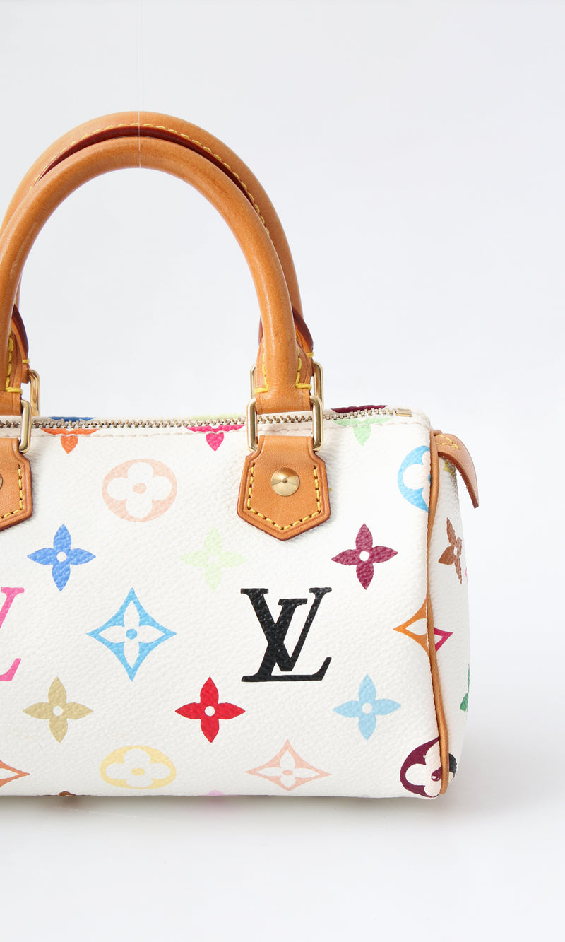 Louis Vuitton Multicolour Nano Speedy