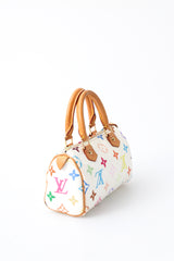 Louis Vuitton Multicolour Nano Speedy