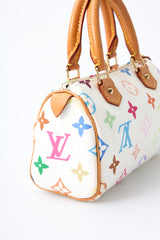 Louis Vuitton Multicolour Nano Speedy