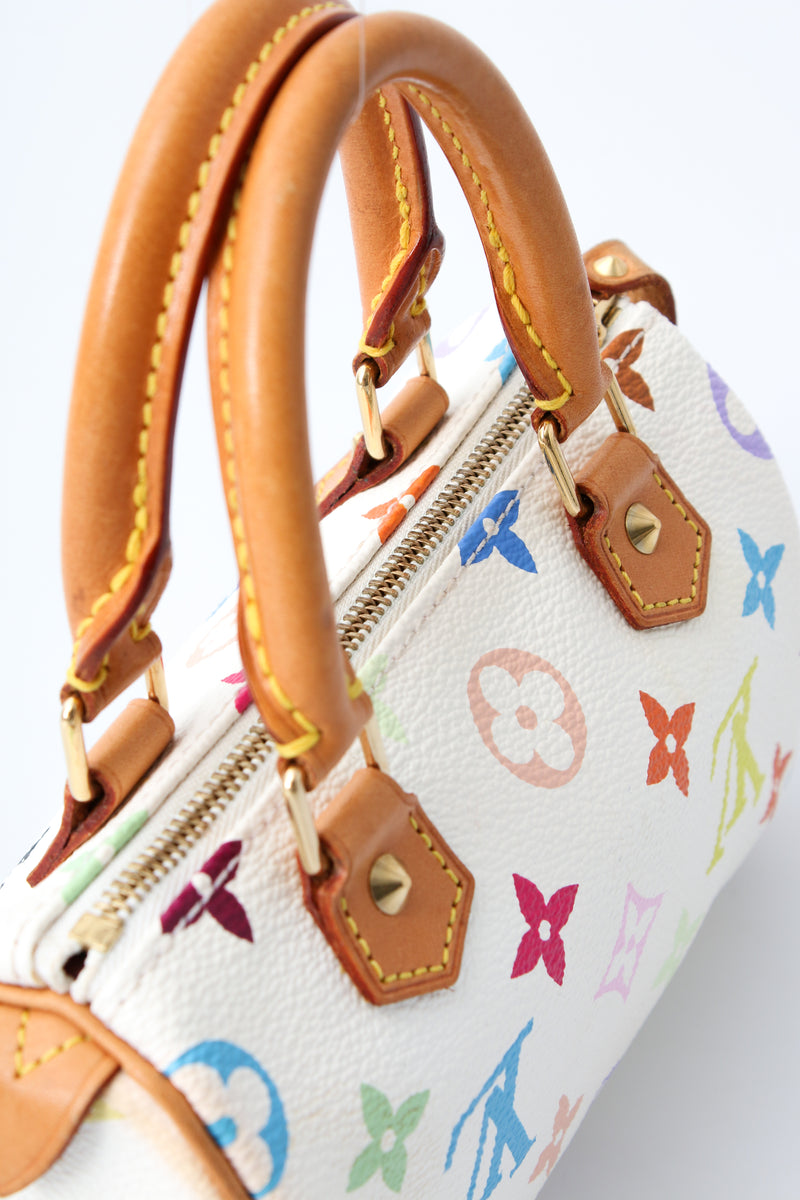Louis Vuitton Multicolour Nano Speedy